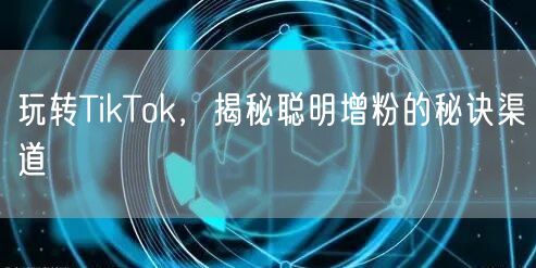 玩转TikTok，揭秘聪明增粉的秘诀渠道