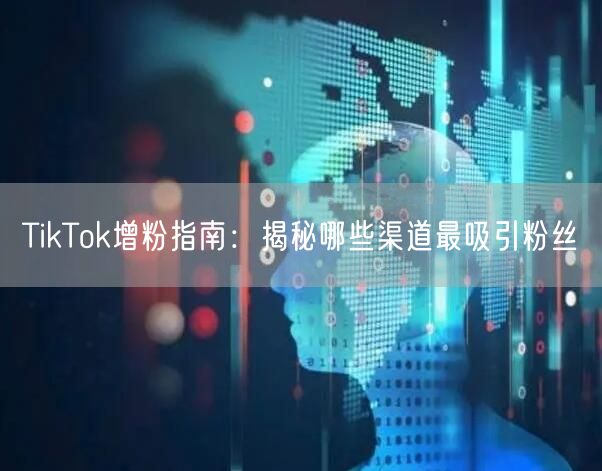 TikTok增粉指南：揭秘哪些渠道最吸引粉丝