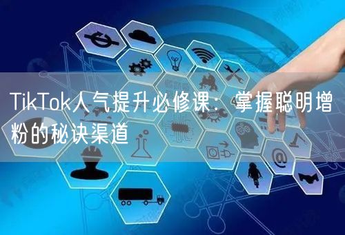 TikTok人气提升必修课：掌握聪明增粉的秘诀渠道