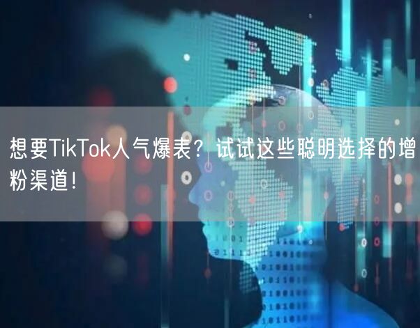想要TikTok人气爆表？试试这些聪明选择的增粉渠道！