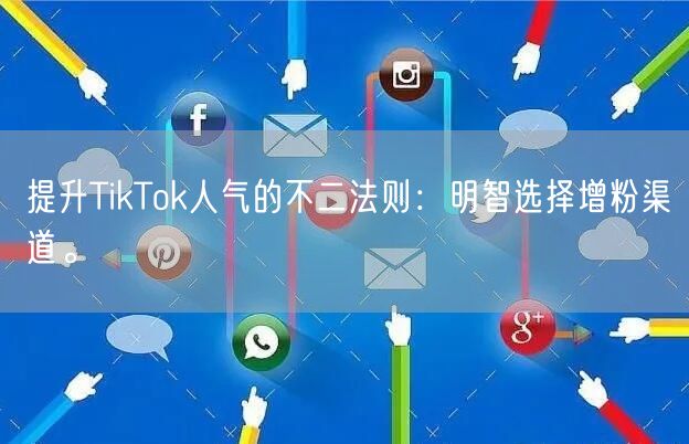 提升TikTok人气的不二法则：明智选择增粉渠道。