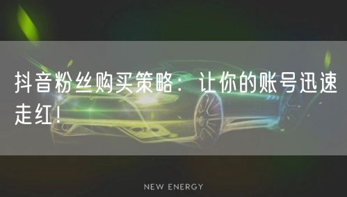 抖音粉丝购买策略：让你的账号迅速走红！