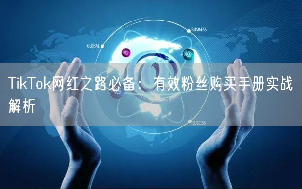 TikTok网红之路必备：有效粉丝购买手册实战解析