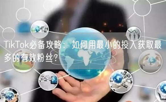 TikTok必备攻略：如何用最小的投入获取最多的有效粉丝？