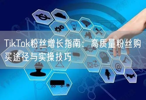 TikTok粉丝增长指南：高质量粉丝购买途径与实操技巧