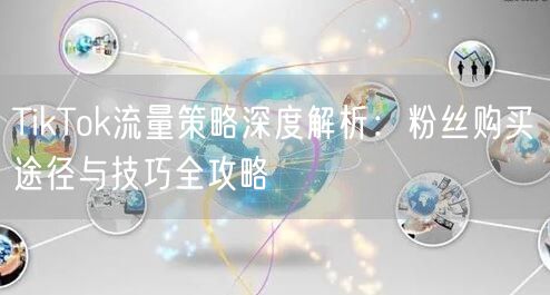 TikTok流量策略深度解析：粉丝购买途径与技巧全攻略