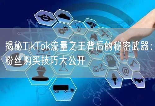 揭秘TikTok流量之王背后的秘密武器：粉丝购买技巧大公开