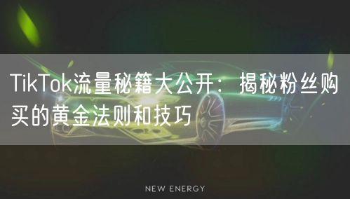 TikTok流量秘籍大公开：揭秘粉丝购买的黄金法则和技巧