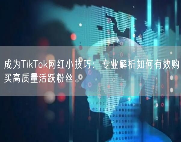 成为TikTok网红小技巧：专业解析如何有效购买高质量活跃粉丝。