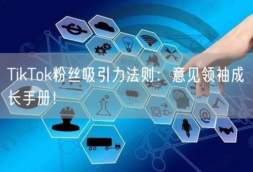 TikTok粉丝吸引力法则：意见领袖成长手册！