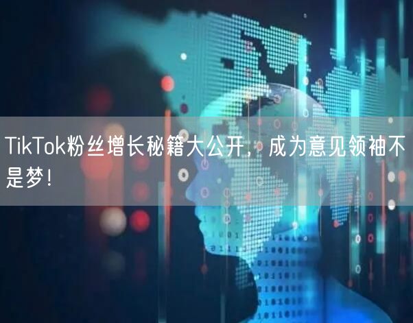 TikTok粉丝增长秘籍大公开，成为意见领袖不是梦！