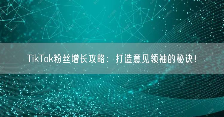 TikTok粉丝增长攻略：打造意见领袖的秘诀！