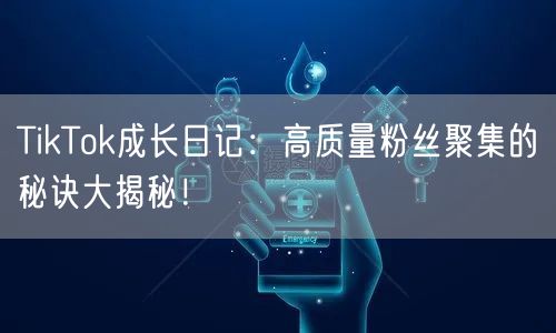 TikTok成长日记：高质量粉丝聚集的秘诀大揭秘！