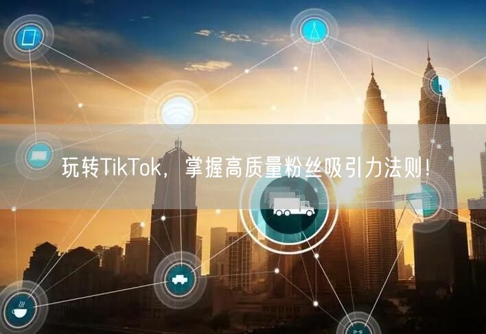 玩转TikTok，掌握高质量粉丝吸引力法则！
