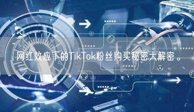 网红效应下的TikTok粉丝购买秘密大解密。