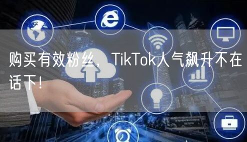 购买有效粉丝，TikTok人气飙升不在话下！