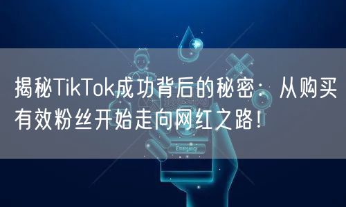 揭秘TikTok成功背后的秘密：从购买有效粉丝开始走向网红之路！