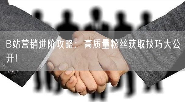 B站营销进阶攻略：高质量粉丝获取技巧大公开！