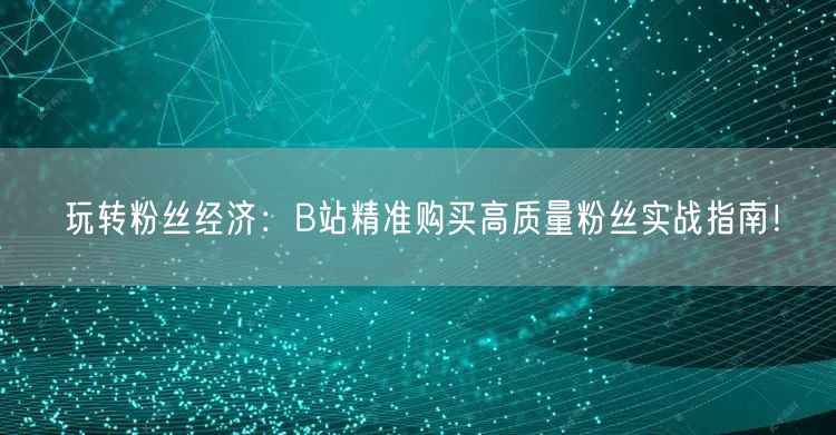 玩转粉丝经济：B站精准购买高质量粉丝实战指南！