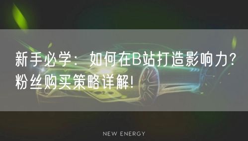 新手必学：如何在B站打造影响力？粉丝购买策略详解!
