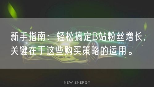 新手指南：轻松搞定B站粉丝增长，关键在于这些购买策略的运用。
