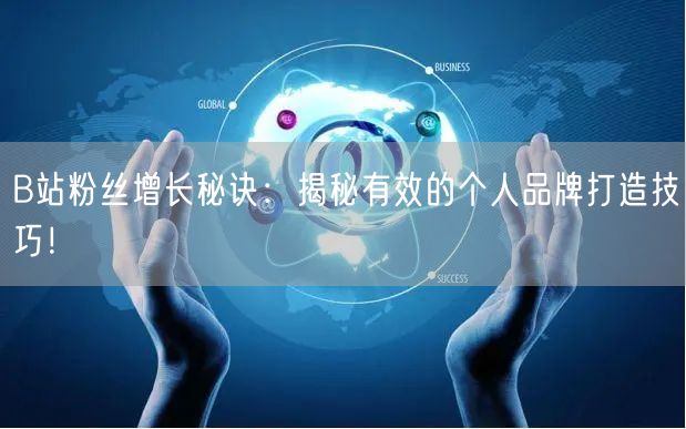 B站粉丝增长秘诀：揭秘有效的个人品牌打造技巧！