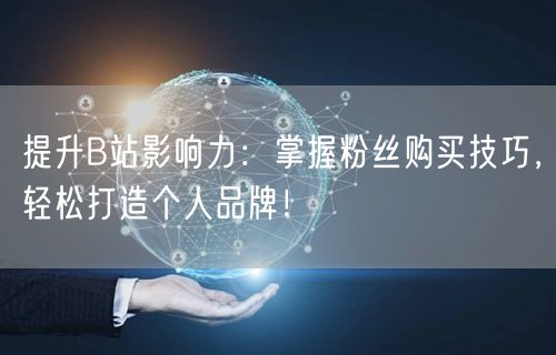 提升B站影响力：掌握粉丝购买技巧，轻松打造个人品牌！