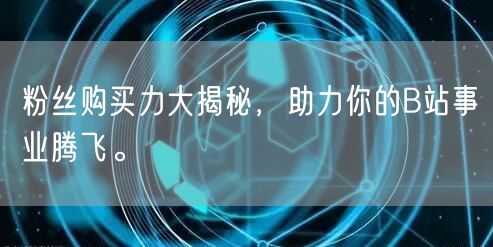 粉丝购买力大揭秘，助力你的B站事业腾飞。