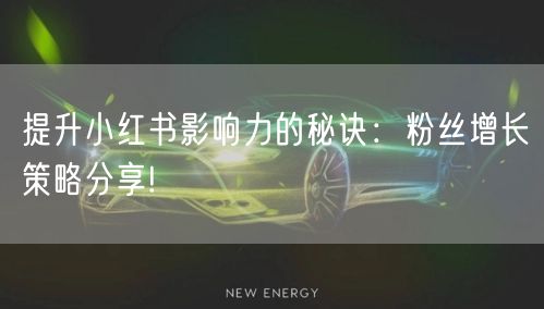 提升小红书影响力的秘诀：粉丝增长策略分享!