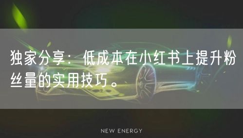 独家分享：低成本在小红书上提升粉丝量的实用技巧。