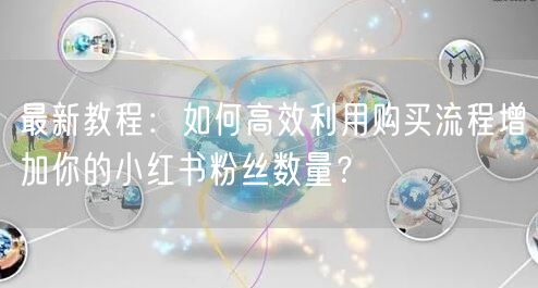最新教程：如何高效利用购买流程增加你的小红书粉丝数量？