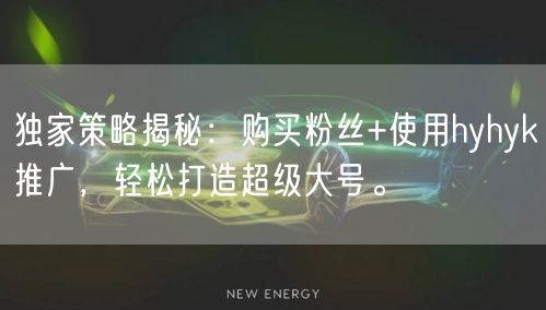 独家策略揭秘：购买粉丝+使用hyhyk推广，轻松打造超级大号。
