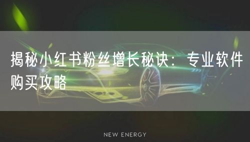 揭秘小红书粉丝增长秘诀：专业软件购买攻略