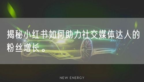 揭秘小红书如何助力社交媒体达人的粉丝增长。