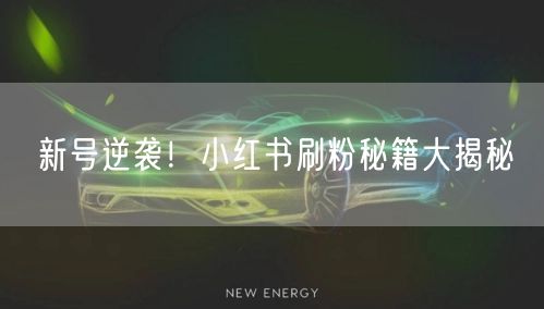 新号逆袭！小红书刷粉秘籍大揭秘