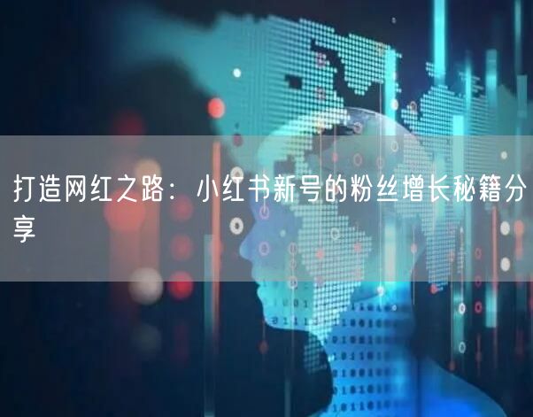 打造网红之路：小红书新号的粉丝增长秘籍分享