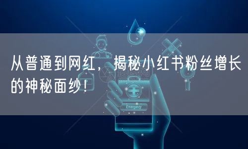 从普通到网红，揭秘小红书粉丝增长的神秘面纱！