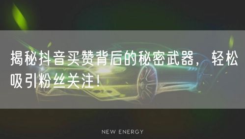 揭秘抖音买赞背后的秘密武器，轻松吸引粉丝关注！